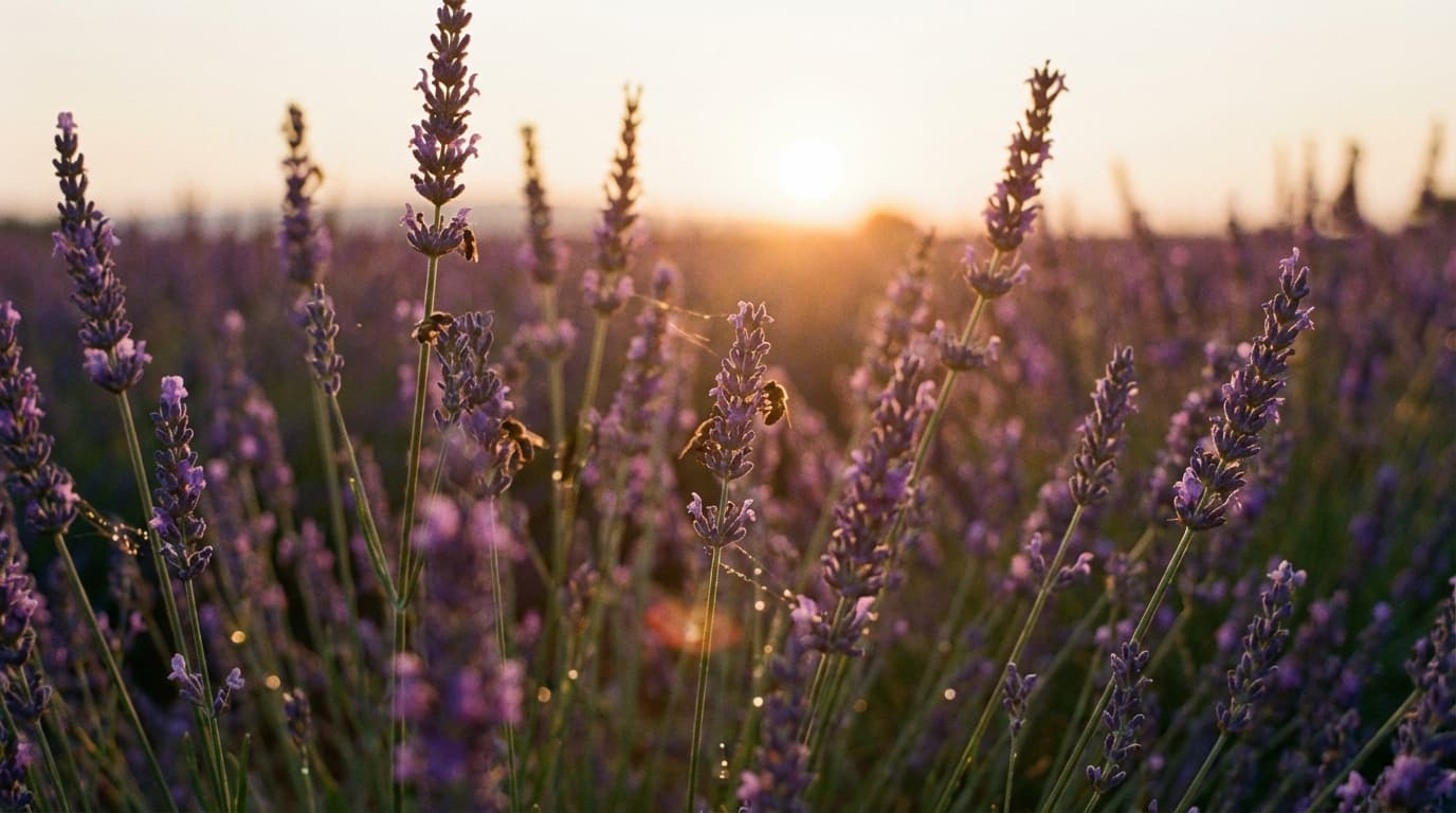 Comprendre l'angoisse : mécanismes et manifestations